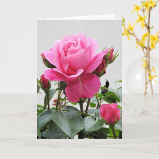 美しいピンクのバラ カード (黄色い花)