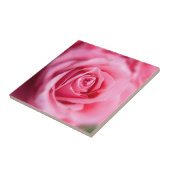 美しいピンクのバラ タイル (側面)