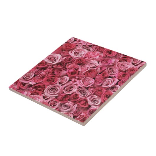 美しいピンクのバラ タイル (側面)