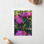 美しいピンクのバラ ノートカード (正面/裏面インサイチュ)