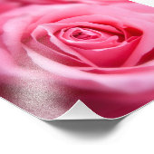 美しいピンクのバラ フォトプリント            (角)