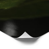 美しいピンクのバラ ポスター (コーナー)