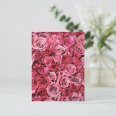 美しいピンクのバラ ポストカード (スタンド正面)