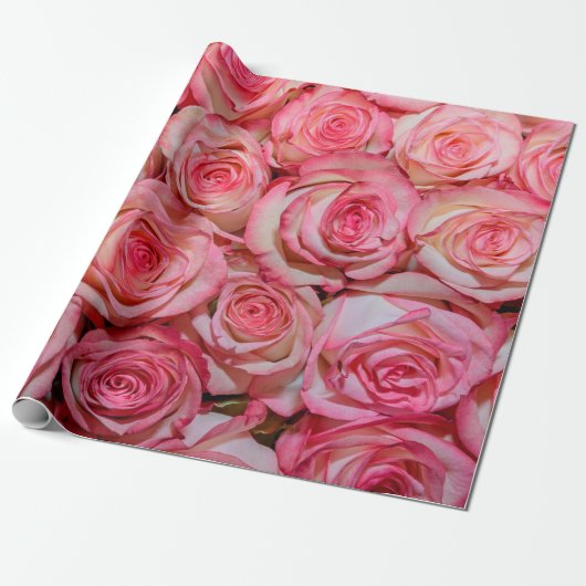 美しいピンクのバラ ラッピングペーパー (アンロールド)