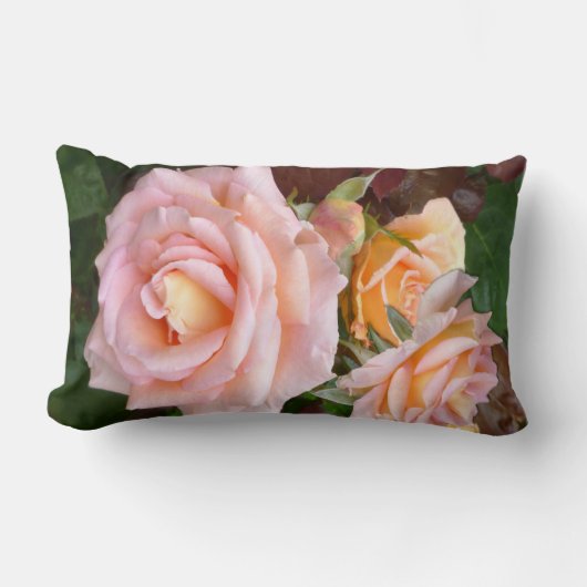 美しいピンクのバラ ランバークッション (正面)