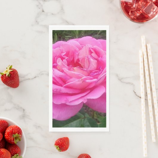 美しいピンクのバラ「レオナルド・ダ・ヴィンチ」 (インサイチュ)