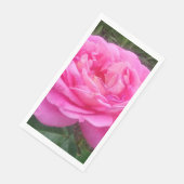 美しいピンクのバラ「レオナルド・ダ・ヴィンチ」 (コーナー)