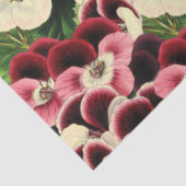 美しいピンクのバーガンディクリームゼラニウム植物学 薄葉紙 (詳細)