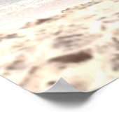 美しいピンクのフラミンゴが浜辺に立つ ポスター (角)