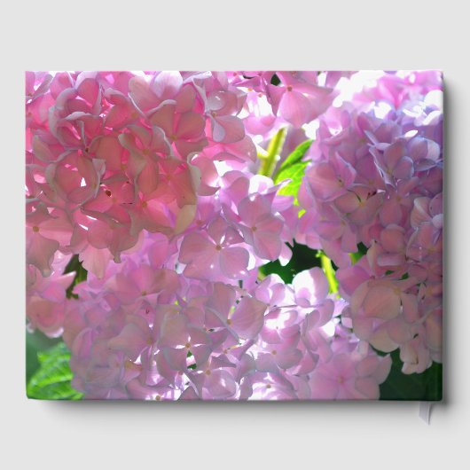 美しいピンクのフローラ ゲストブック (裏面)