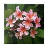 美しいピンクのプルメリアの花 タイル (正面)