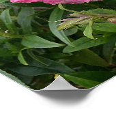 美しいピンクのペンセットモンフラワーガーデンポスター ポスター (角)