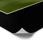 美しいピンクのポピーのクローズアップ写真 ポスター (角)