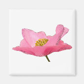 美しいピンクのポピーの写真クローズアップ マグネット (正面)