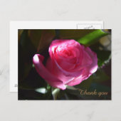 美しいピンクのローズカード ポストカード (正面/裏面)