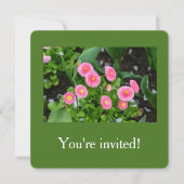 美しいピンクの庭のデイジーの花の卒業 招待状 (正面)