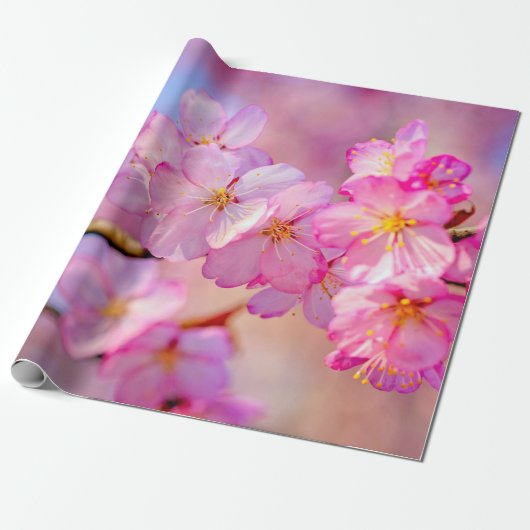 美しいピンクの桜の花の春 ラッピングペーパー (アンロールド)
