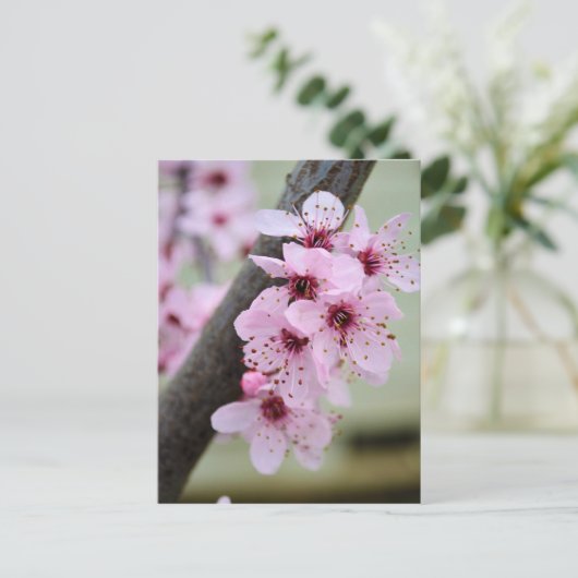 美しいピンクの桜の花 ポストカード (スタンド正面)