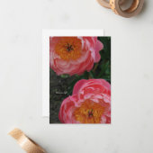 美しいピンクの牡丹2つ ノートカード (正面/裏面インサイチュ)