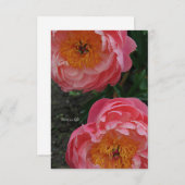 美しいピンクの牡丹2つ ノートカード (正面/裏面)