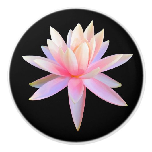 美しいピンクの白い蓮の花模様 セラミックノブ (正面)