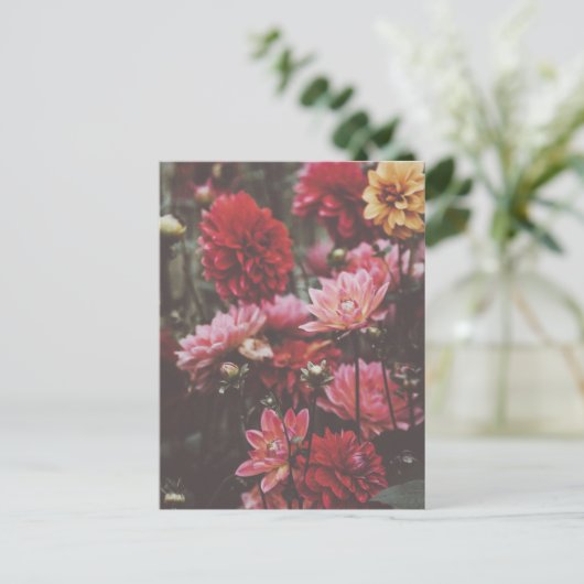 美しいピンクの秋の花 ファインアート写真 ポストカード (スタンド正面)