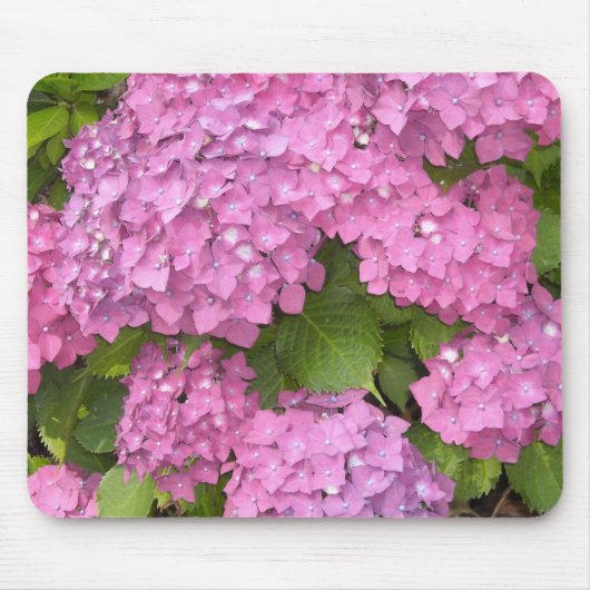 美しいピンクの紫陽花 マウスパッド (正面)