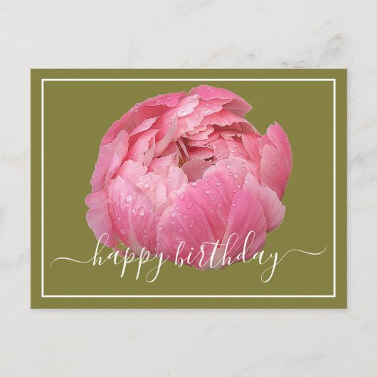 美しいピンクの芍薬と露の雫 緑の背景 誕生日 ポストカード (正面)