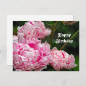 美しいピンクの芍薬の花の写真の誕生日 ポストカード (正面/裏面)