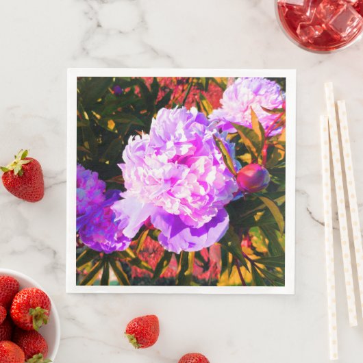 美しいピンクの芍薬 (インサイチュ)