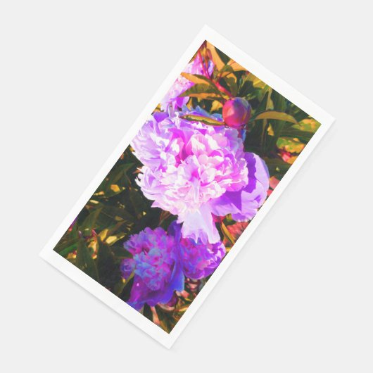 美しいピンクの芍薬 (コーナー)