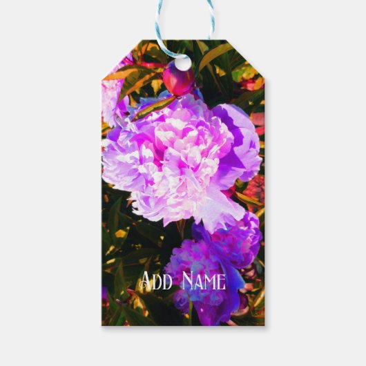 美しいピンクの芍薬 ギフトタグ (正面)