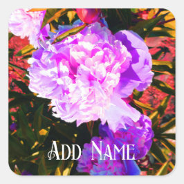 美しいピンクの芍薬 スクエアシール