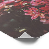 美しいピンクの花が秋に撮影 ポスター (角)