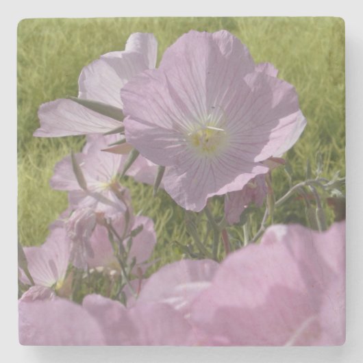 美しいピンクの花の写真 大理石 コースター (正面)