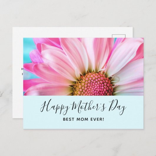 美しいピンクの花クローズアップ写真母の日 シーズンポストカード (正面/裏面)