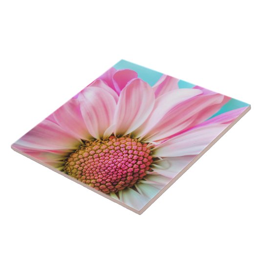 美しいピンクの花クローズアップ写真 タイル (側面)