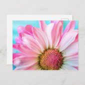美しいピンクの花クローズアップ写真 ポストカード (正面/裏面)