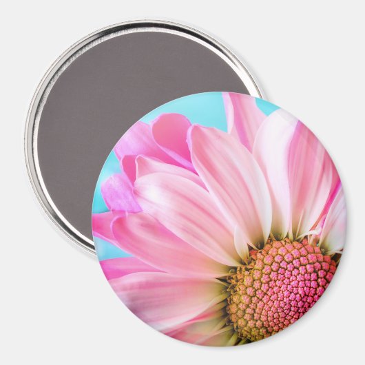 美しいピンクの花クローズアップ写真 マグネット (正面/裏面)