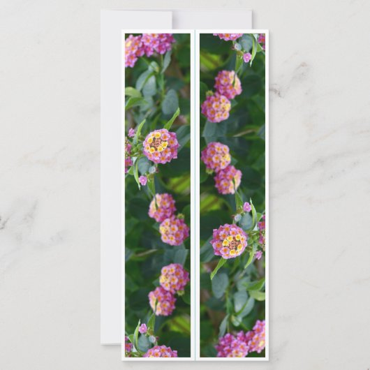 美しいピンクの花ブックマーク (裏面)