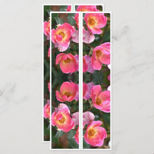 美しいピンクの花ブックマーク (正面/裏面)