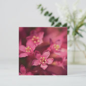 美しいピンクの花 カード (スタンド正面)