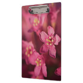 美しいピンクの花 クリップボード (左)