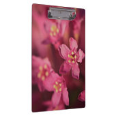 美しいピンクの花 クリップボード (右)