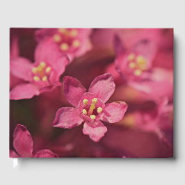 美しいピンクの花 ゲストブック