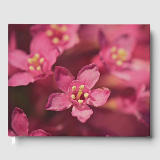 美しいピンクの花 ゲストブック (正面)