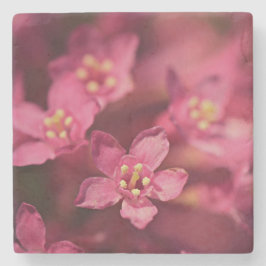 美しいピンクの花 ストーンコースター