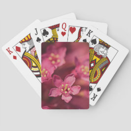 美しいピンクの花 トランプ