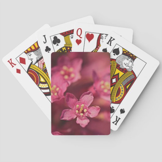 美しいピンクの花 トランプ (裏面)