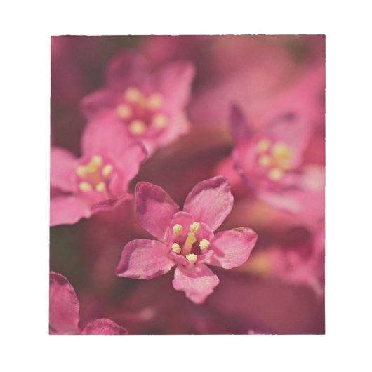 美しいピンクの花 ノートパッド (正面)